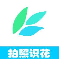 明日方舟阿罗玛干员技能属性介绍